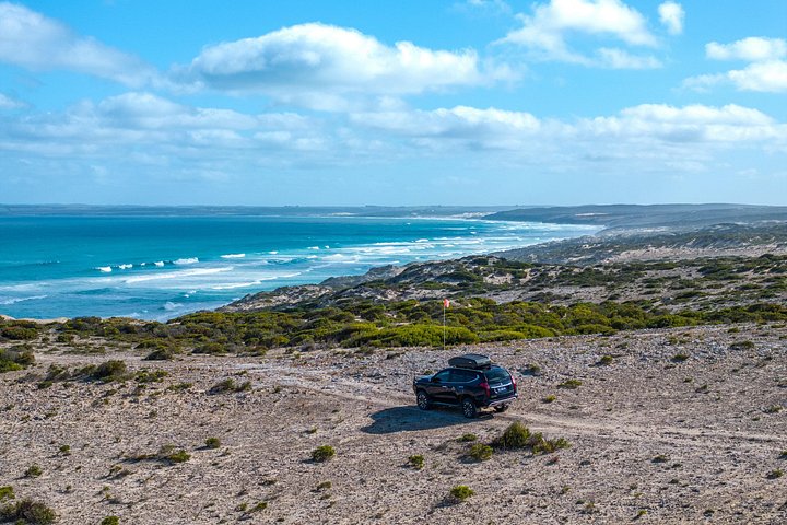 Tour di mezza giornata al Parco nazionale di Port Lincoln