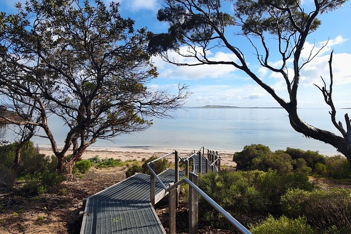 Tour di mezza giornata al Parco nazionale di Port Lincoln