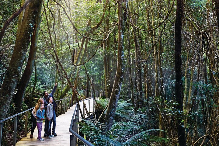 Blue Mountains Tour: Deluxe Small Group, ScenicWorld, Featherdale