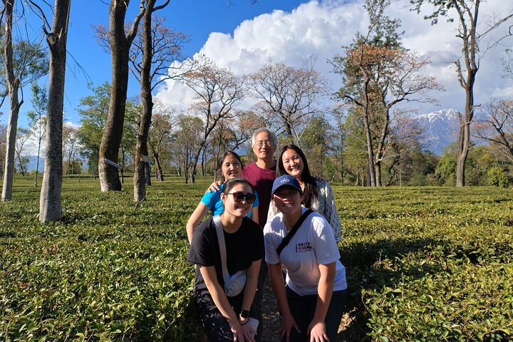 Tour guidato di un giorno a Bir – Monasteri, Tempio e Tea Garden Visit