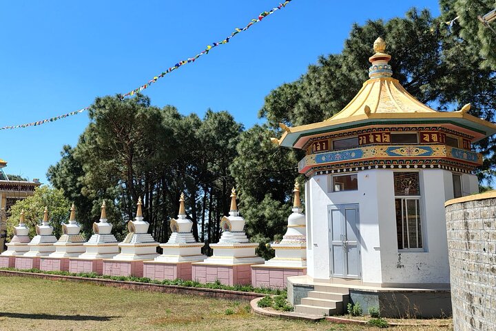 Tour guidato di un giorno a Bir – Monasteri, Tempio e Tea Garden Visit