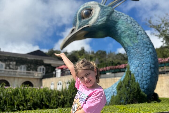 Tidlig morgen Ba Na Hills - Golden Hand Bridge - PRIVATE TOUR