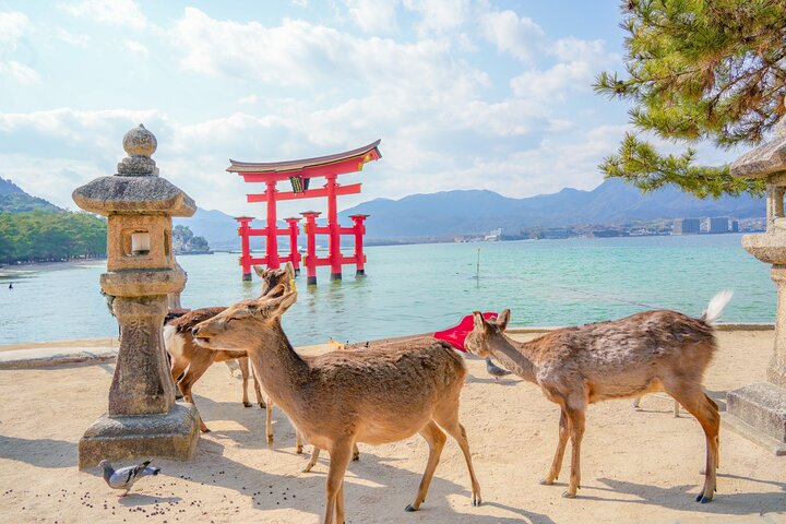 Excursion d'une journée à Hiroshima et Miyajima au départ de Kyoto en Bullet Train