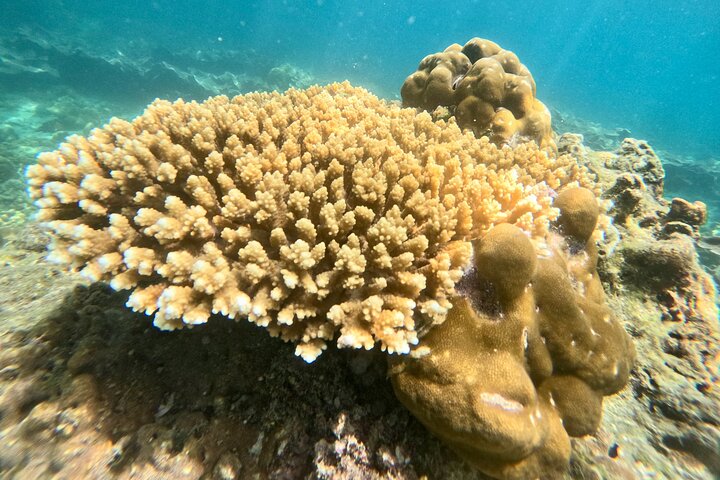 Snorkeling B Far way with longtail boat