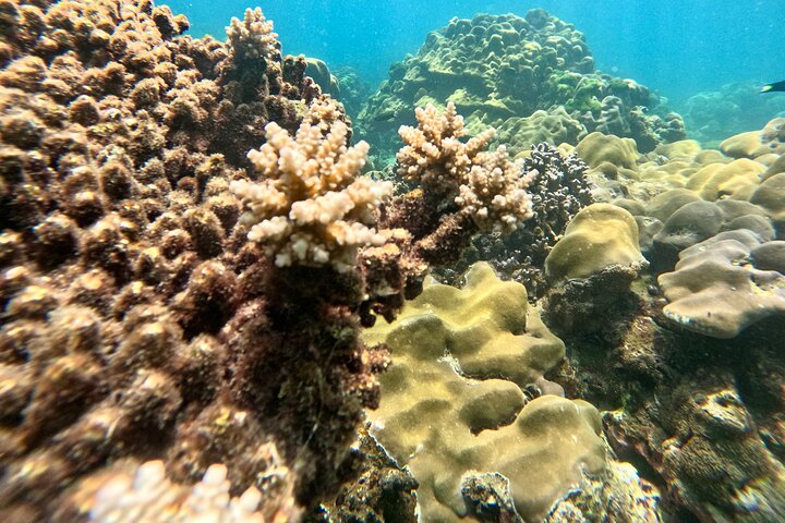 Snorkeling B Far way with longtail boat