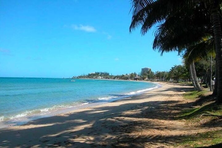 Aquarium Package in Nouméa's with Admission + HOHO with LYVAI