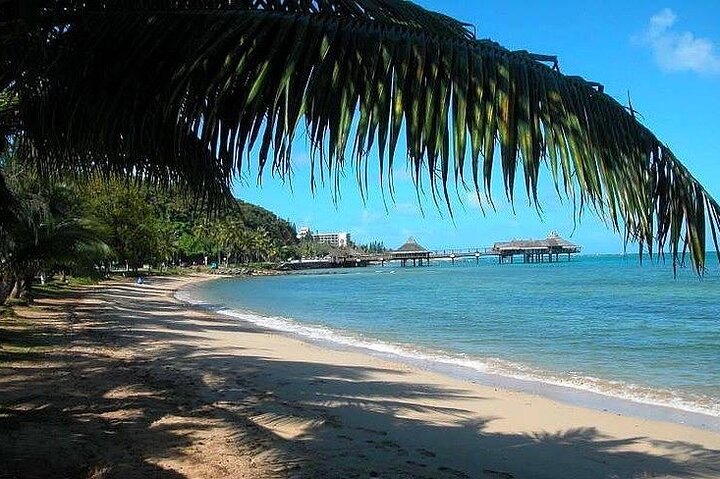 Aquarium Package in Nouméa's with Admission + HOHO with LYVAI