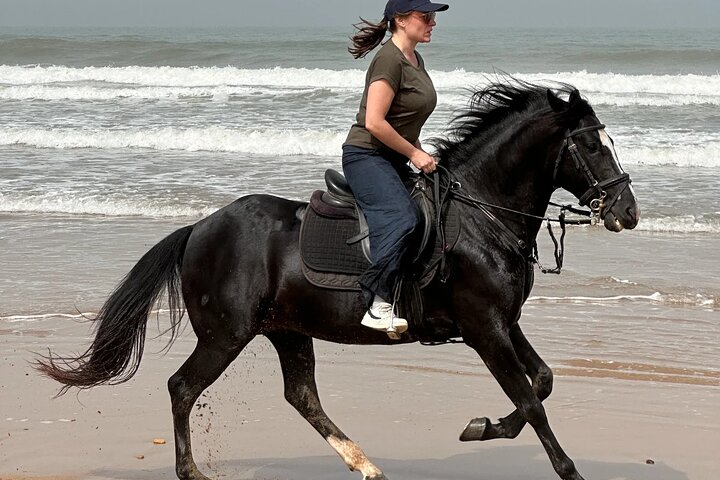 Paseos a caballo en Essaouira - Essaouira HorseRiding