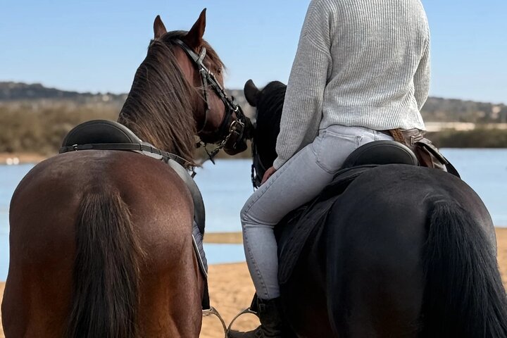 Paseos a caballo en Essaouira - Essaouira HorseRiding