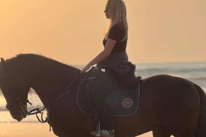 Paseos a caballo en Essaouira - Essaouira HorseRiding