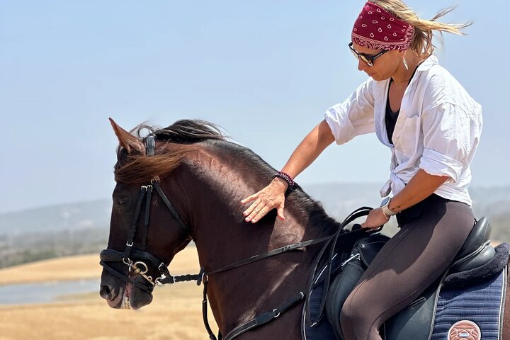 Paseos a caballo en Essaouira - Essaouira HorseRiding
