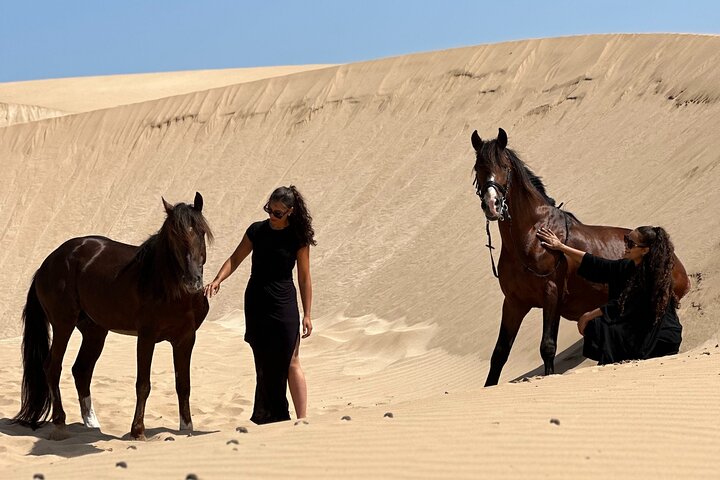 Paseos a caballo en Essaouira - Essaouira HorseRiding