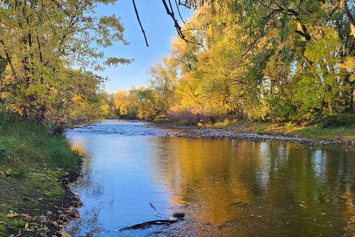 Tour a pie por el río East Poudre, Fort Collins