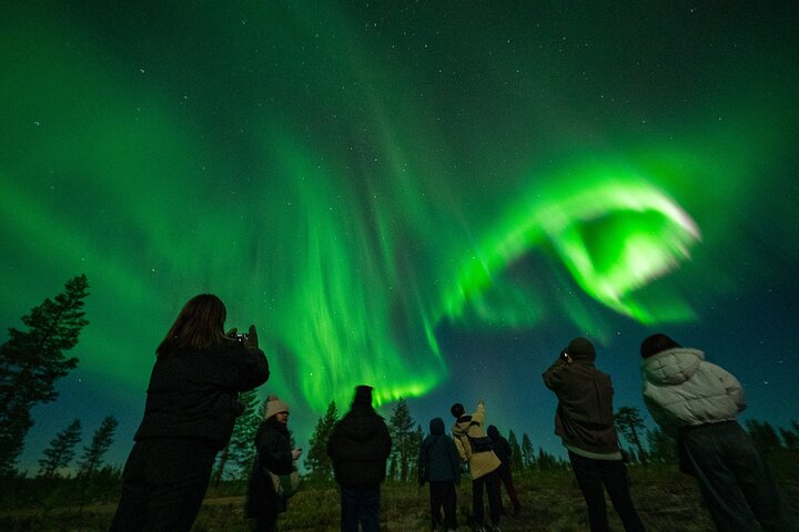 Rovaniemi: Caza de Auroras Boreales 100% Garantizada y Grupo Pequeño