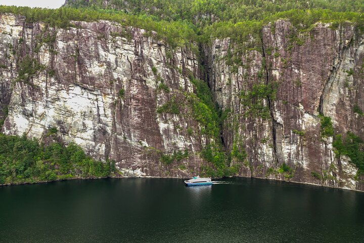 Halvdagsfjordkryssning från Bergen till Mostraumen
