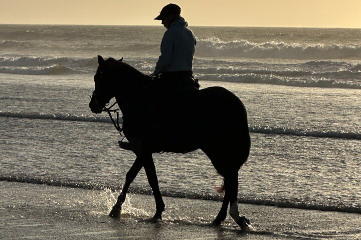 Paseos a caballo en Essaouira - Essaouira HorseRiding