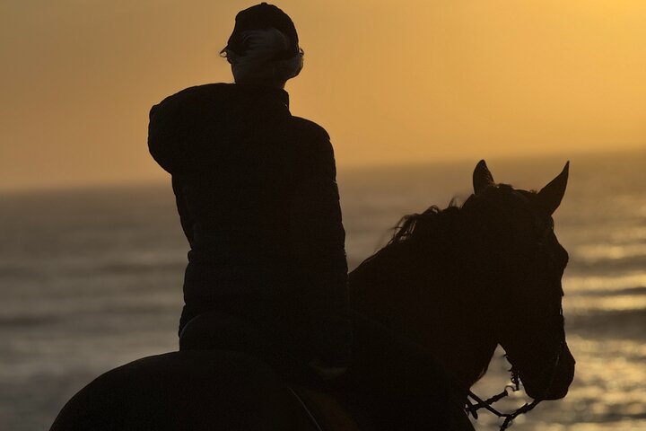 Paseos a caballo en Essaouira - Essaouira HorseRiding