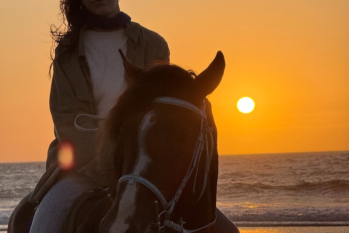 Paseos a caballo en Essaouira - Essaouira HorseRiding