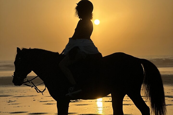 Paseos a caballo en Essaouira - Essaouira HorseRiding