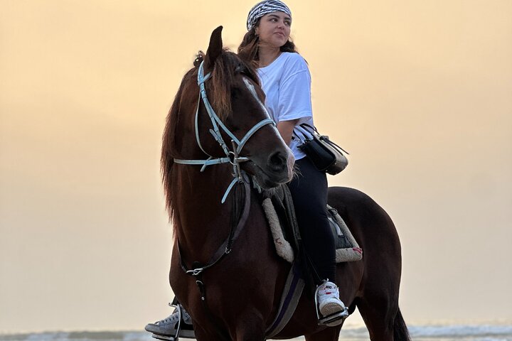 Paseos a caballo en Essaouira - Essaouira HorseRiding