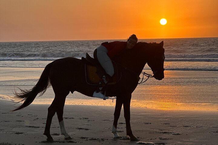 Paseos a caballo en Essaouira - Essaouira HorseRiding