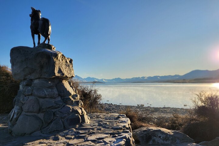 Mount Cook og Lake Tekapo dagstur fra Christchurch med lunsj