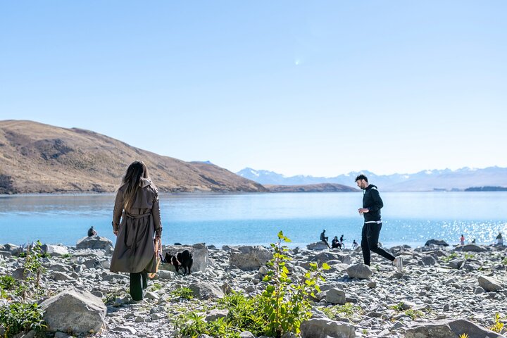 Mount Cook og Lake Tekapo dagstur fra Christchurch med lunsj