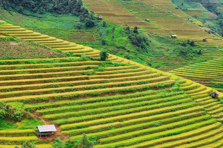2 dias Mu Cang Chai Trekking Adventure