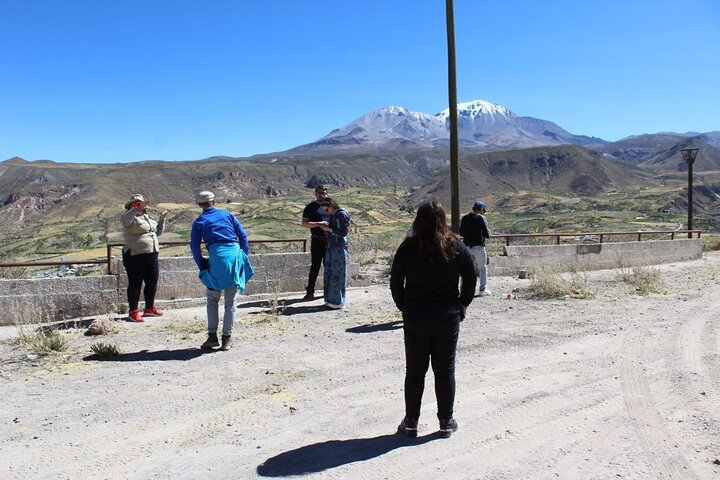 Visite du lac Chungará et du parc de Lauca au départ d'Arica avec déjeuner
