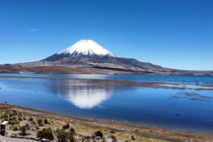 Visite du lac Chungará et du parc de Lauca au départ d'Arica avec déjeuner
