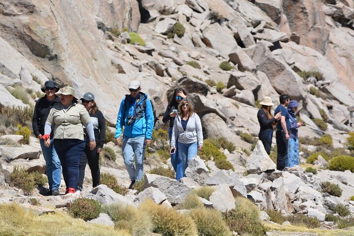 Visite du lac Chungará et du parc de Lauca au départ d'Arica avec déjeuner