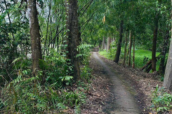 Can Tho : Natuurreservaat Lung Ngoc Hoang & verborgen bossen