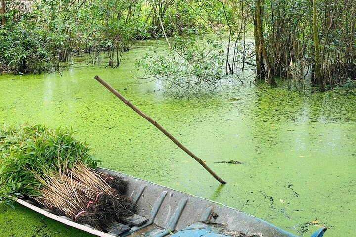 Can Tho : Natuurreservaat Lung Ngoc Hoang & verborgen bossen