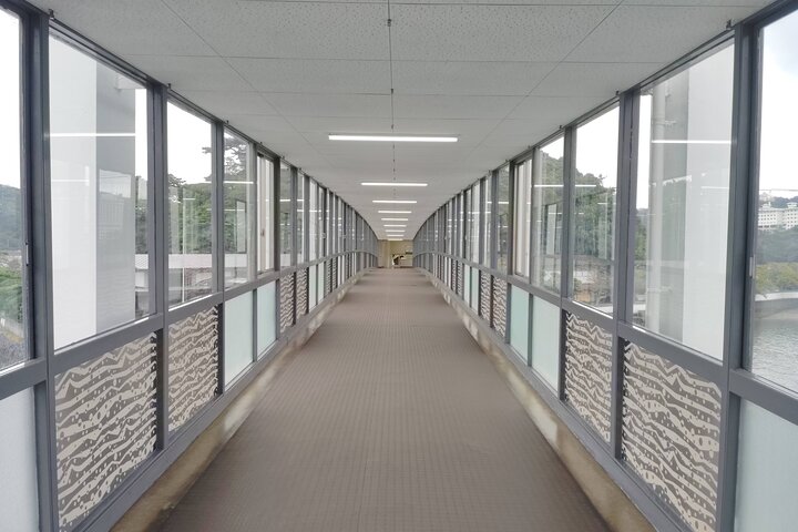 Mie : Mikimoto Pearl Island en de geboorte van gekweekte parels