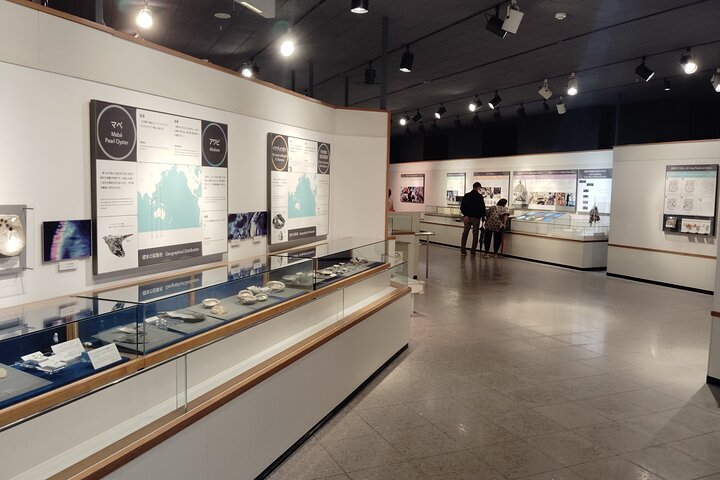 Mie : Mikimoto Pearl Island en de geboorte van gekweekte parels
