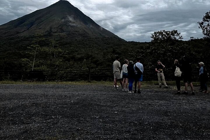 La Fortuna Night Walk at Arenal Volcano: Rainforest Wildlife Tour