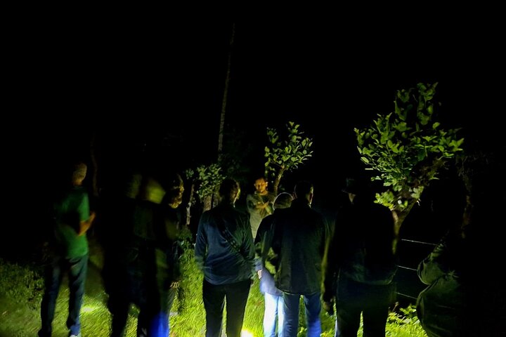 La Fortuna Night Walk at Arenal Volcano: Rainforest Wildlife Tour