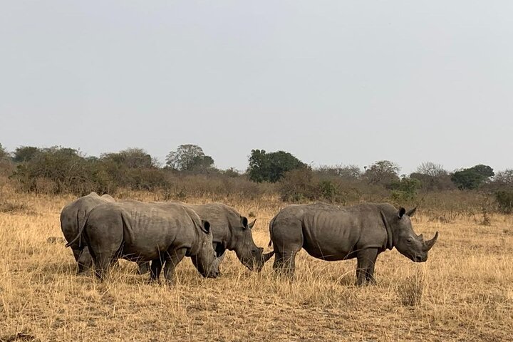 Kigali: Full-Day Akagera Safari + Optional Boat Ride
