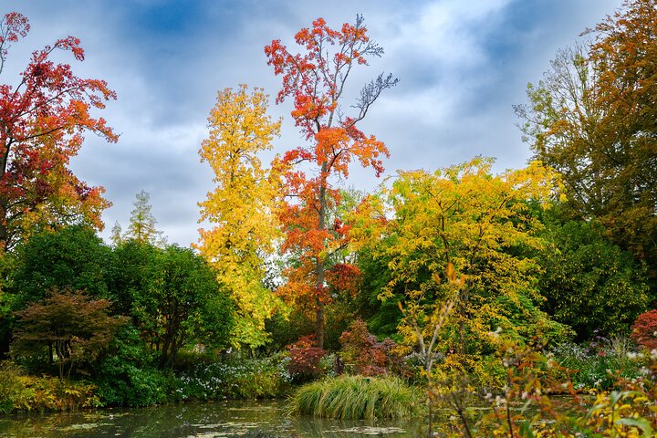 Monet's House & Gardens Giverny liten gruppe tur fra Paris