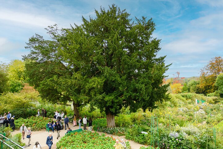 Monet's House & Gardens Giverny liten gruppe tur fra Paris