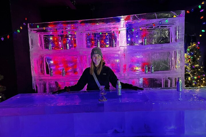 Tour por las auroras boreales y las aguas termales de Chena