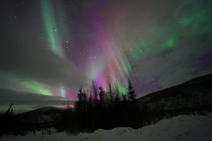 Tour por las auroras boreales y las aguas termales de Chena