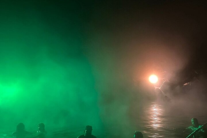 Tour por las auroras boreales y las aguas termales de Chena