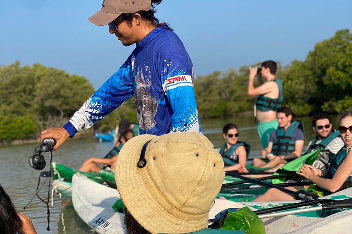 Kayak Mangroves Sunrise Expérience