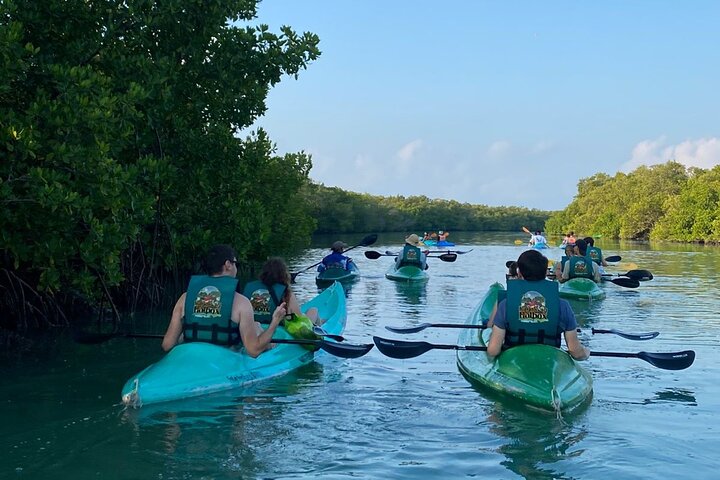 Kayak Mangroves Sunrise Expérience