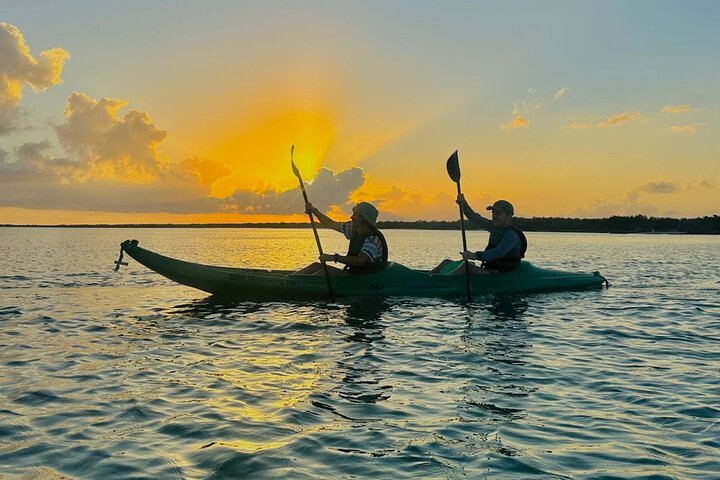 Kayak Mangroves Sunrise Expérience