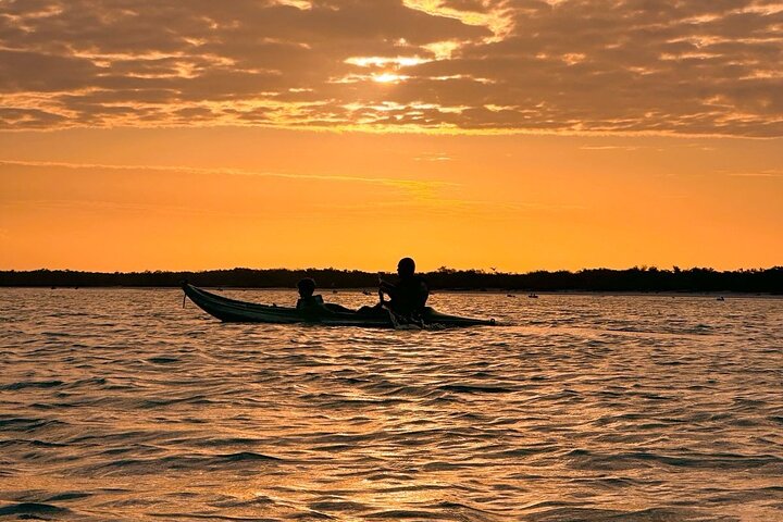 Kayak Mangroves Sunrise Expérience