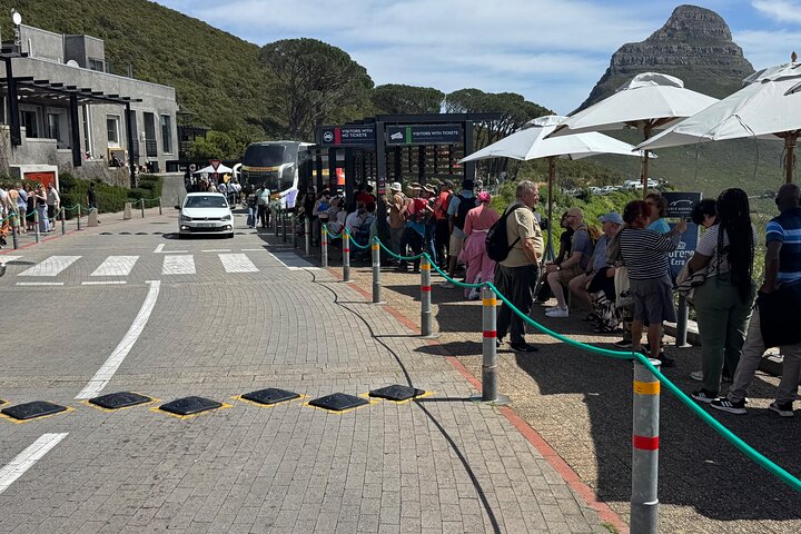 Tafelberg- en Robbeneilandtour met vooraf geboekte tickets