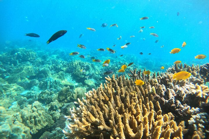 Tour de 7 Ilhas Invisíveis em Koh Lipe por um barco longtail privado