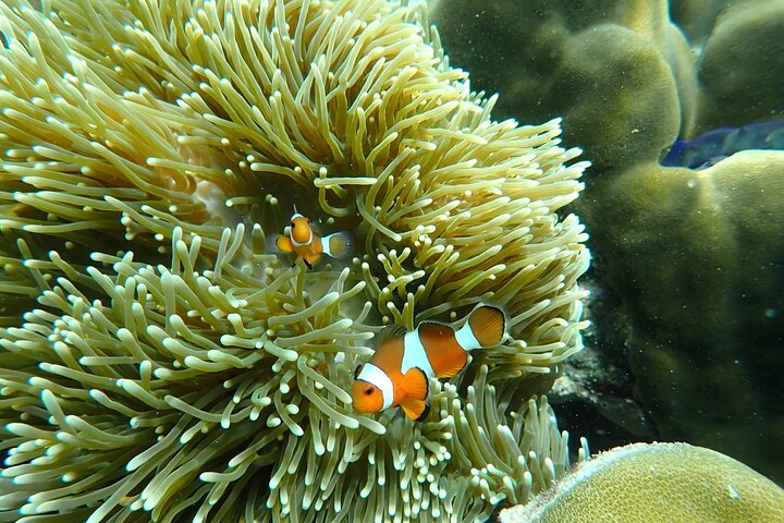 Tour de 7 Ilhas Invisíveis em Koh Lipe por um barco longtail privado